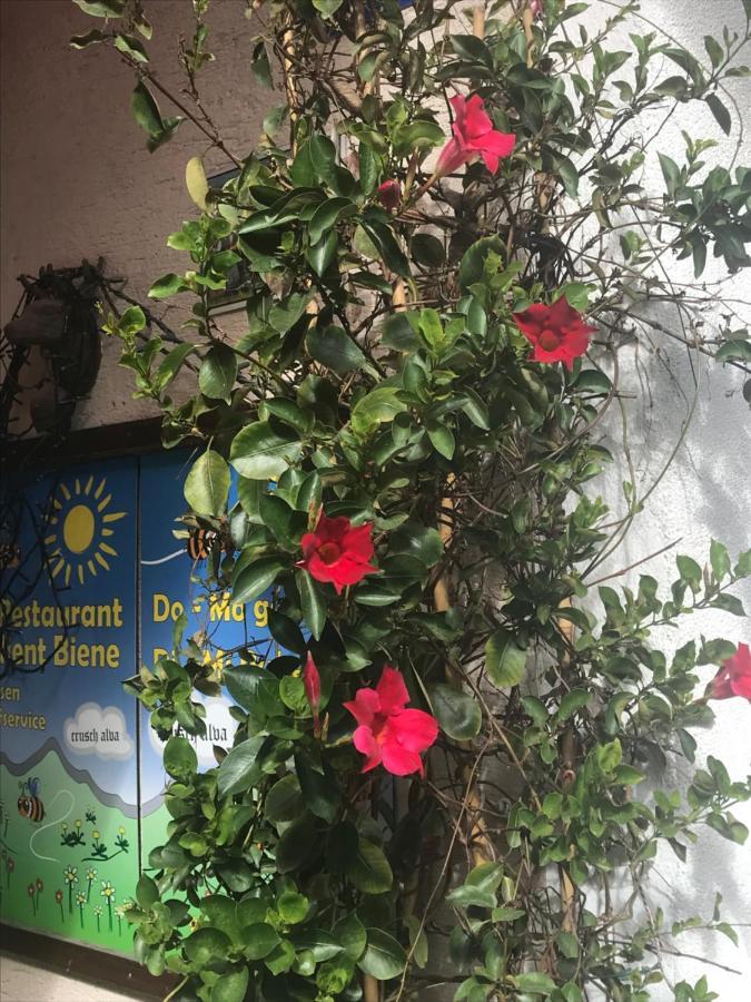 Alte Post Mit Geschichte Und Restaurant Appartement Tavanasa Buitenkant foto